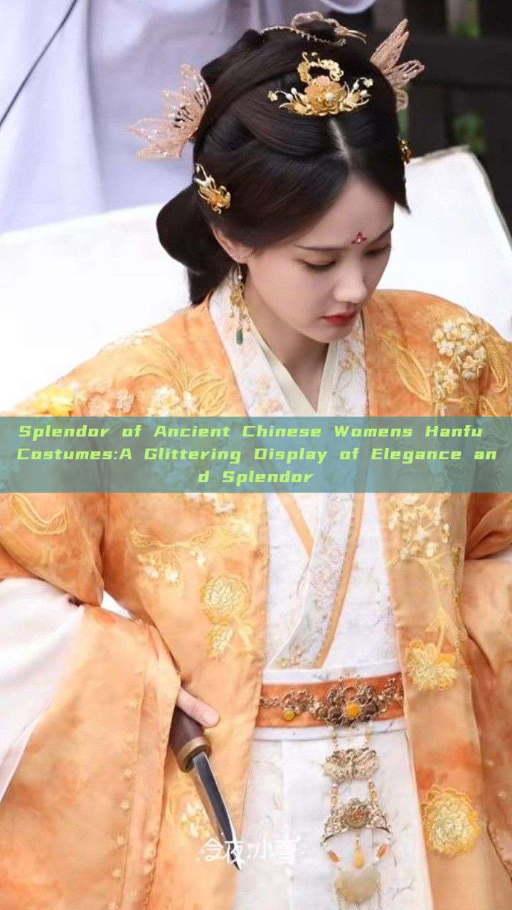 Splendor of Ancient Chinese Womens Hanfu Costumes:A Glittering Display of Elegance and Splendor
