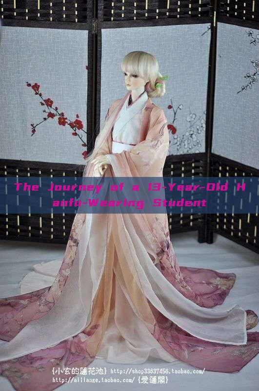 The Journey of a 13-Year-Old Hanfu-Wearing Student