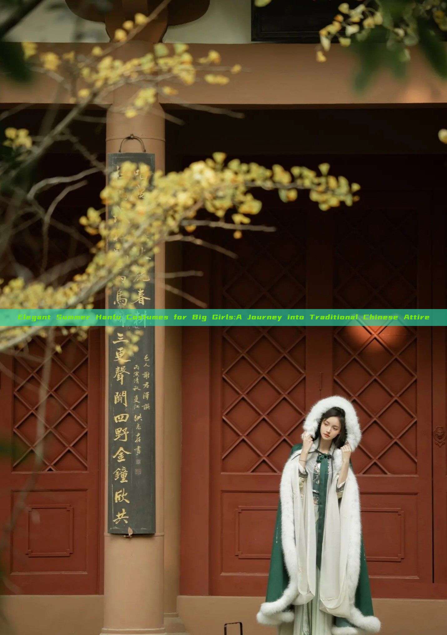 Elegant Summer Hanfu Costumes for Big Girls:A Journey into Traditional Chinese Attire