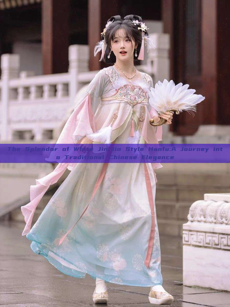 The Splendor of White Jin-Jin Style Hanfu:A Journey into Traditional Chinese Elegance