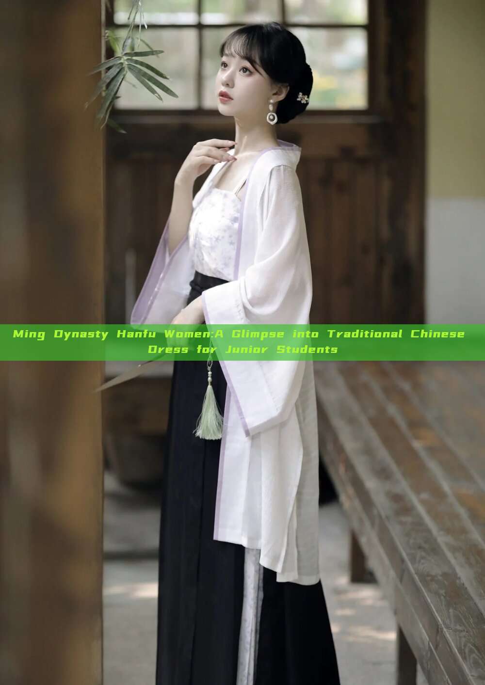 Ming Dynasty Hanfu Women:A Glimpse into Traditional Chinese Dress for Junior Students