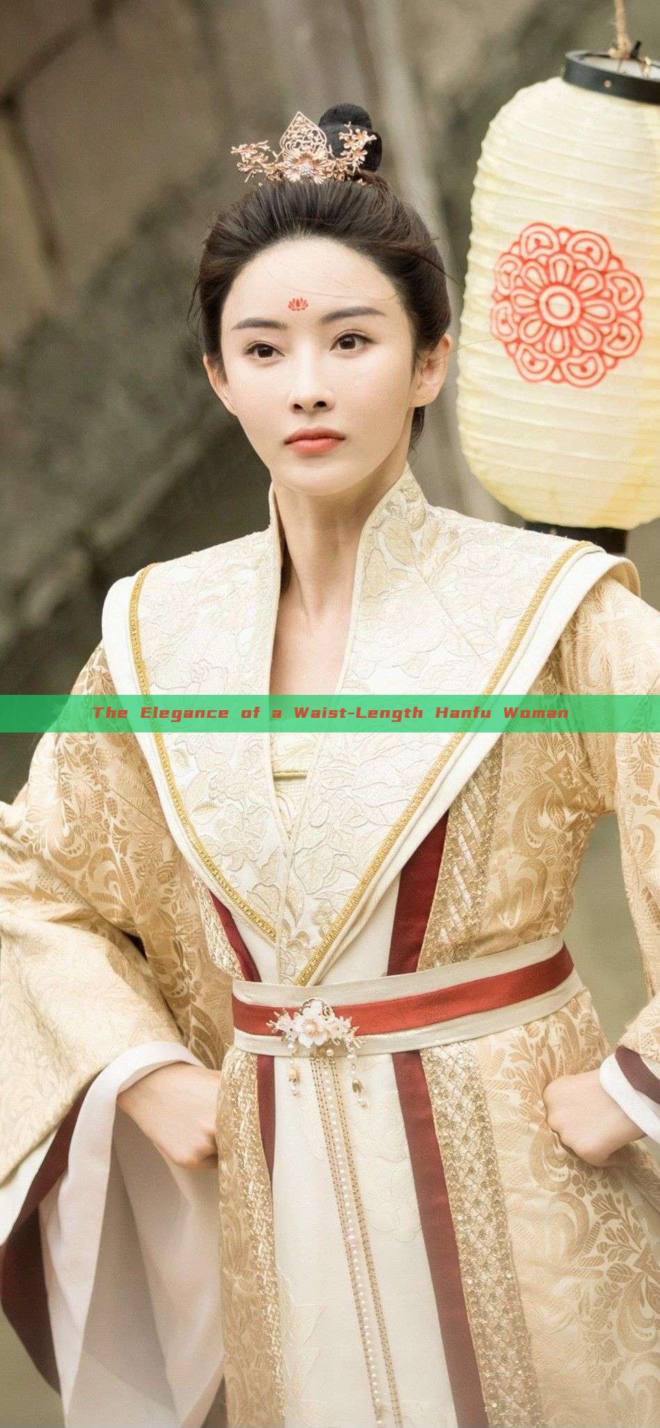 The Elegance of a Waist-Length Hanfu Woman The Elegance of a Waist-Length Hanfu Woman