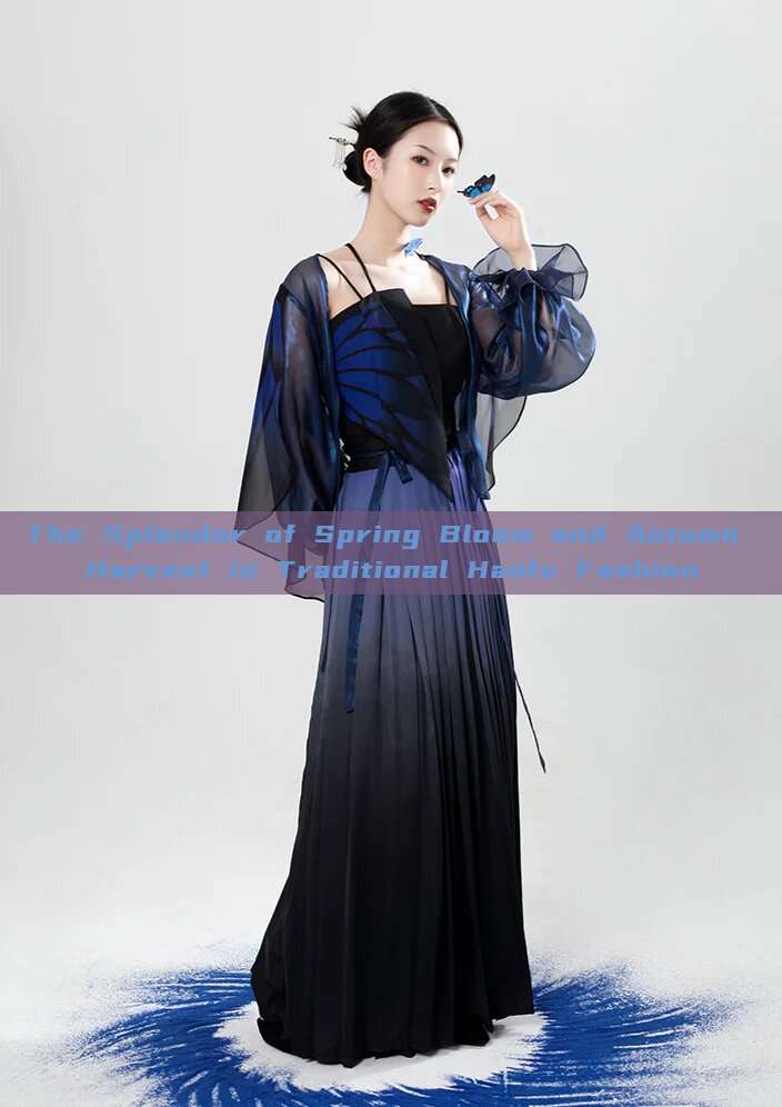 The Splendor of Spring Bloom and Autumn Harvest in Traditional Hanfu Fashion The Splendor of Spring Bloom and Autumn Harvest in Traditional Hanfu Fashion