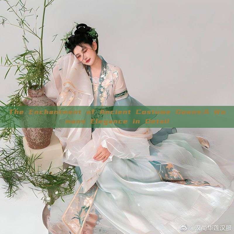 The Enchantment of Ancient Costume Gowns:A Womans Elegance in Detail