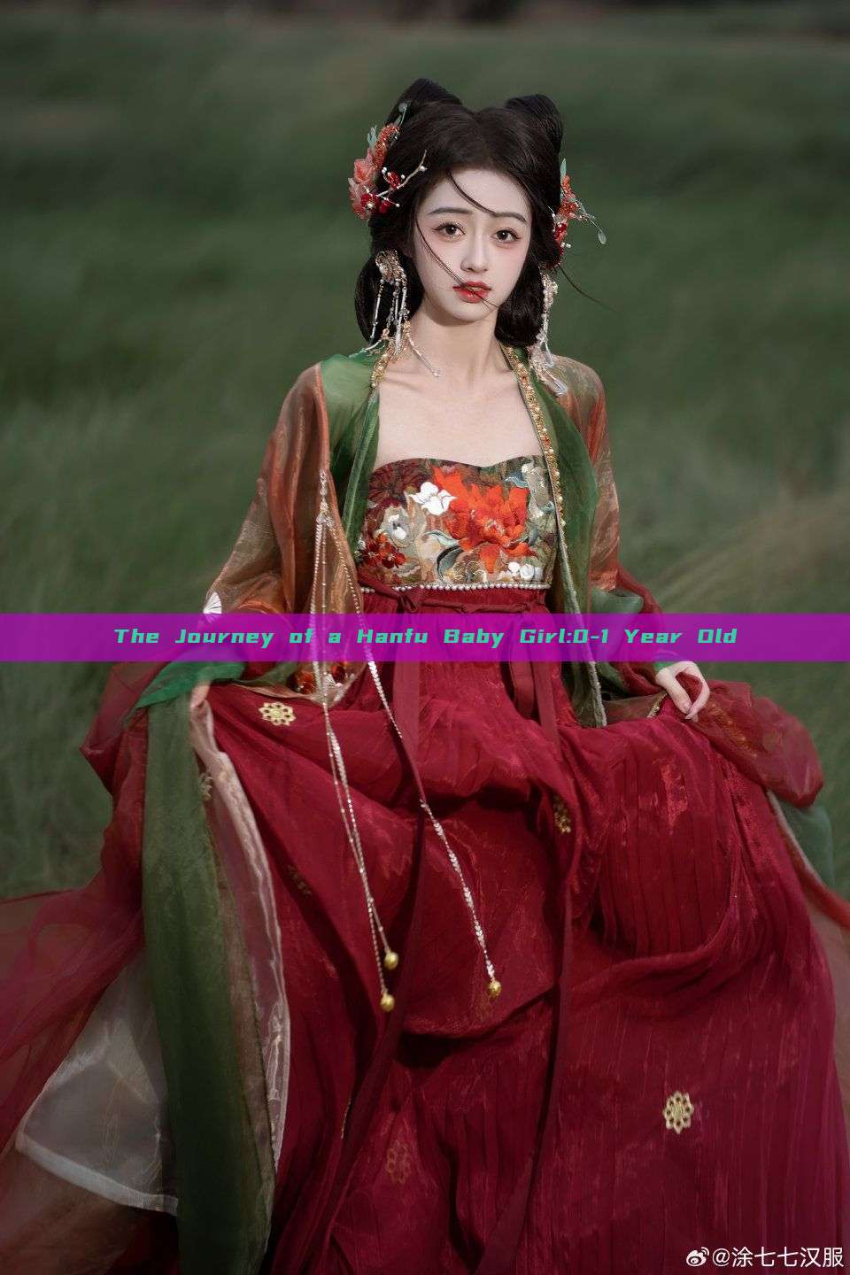 The Journey of a Hanfu Baby Girl:0-1 Year Old The Journey of a Hanfu Baby Girl:0-1 Year Old