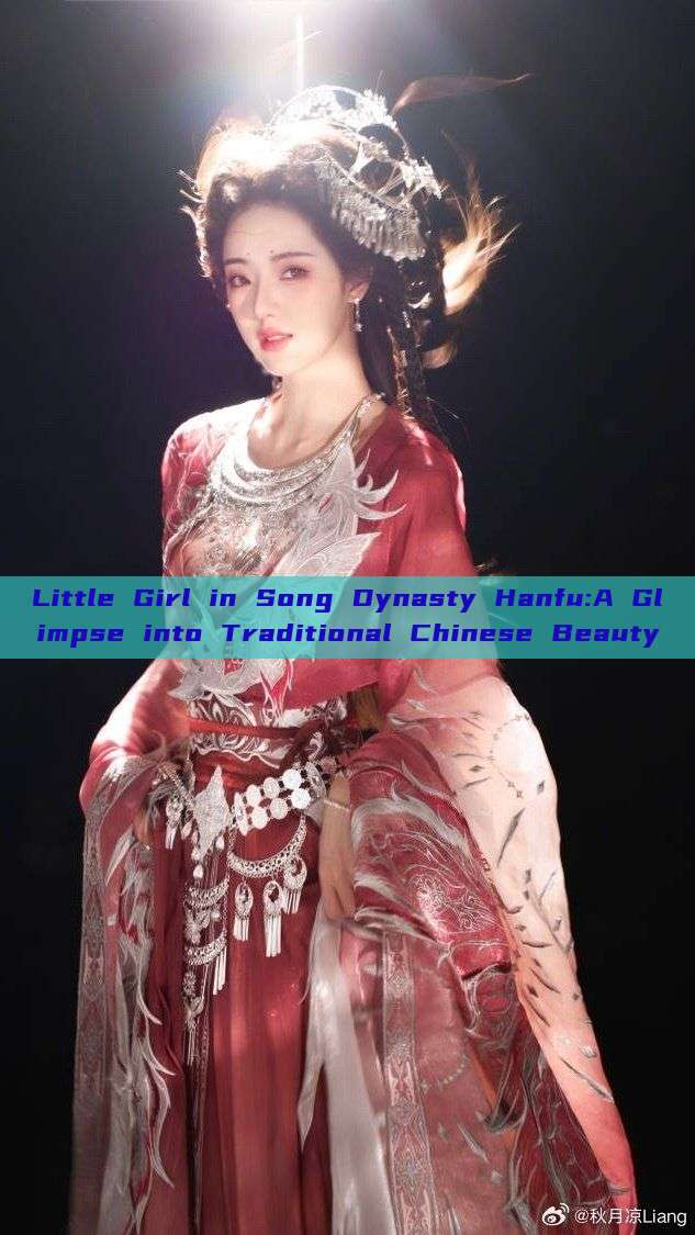 Little Girl in Song Dynasty Hanfu:A Glimpse into Traditional Chinese Beauty Little Girl in Song Dynasty Hanfu:A Glimpse into Traditional Chinese Beauty