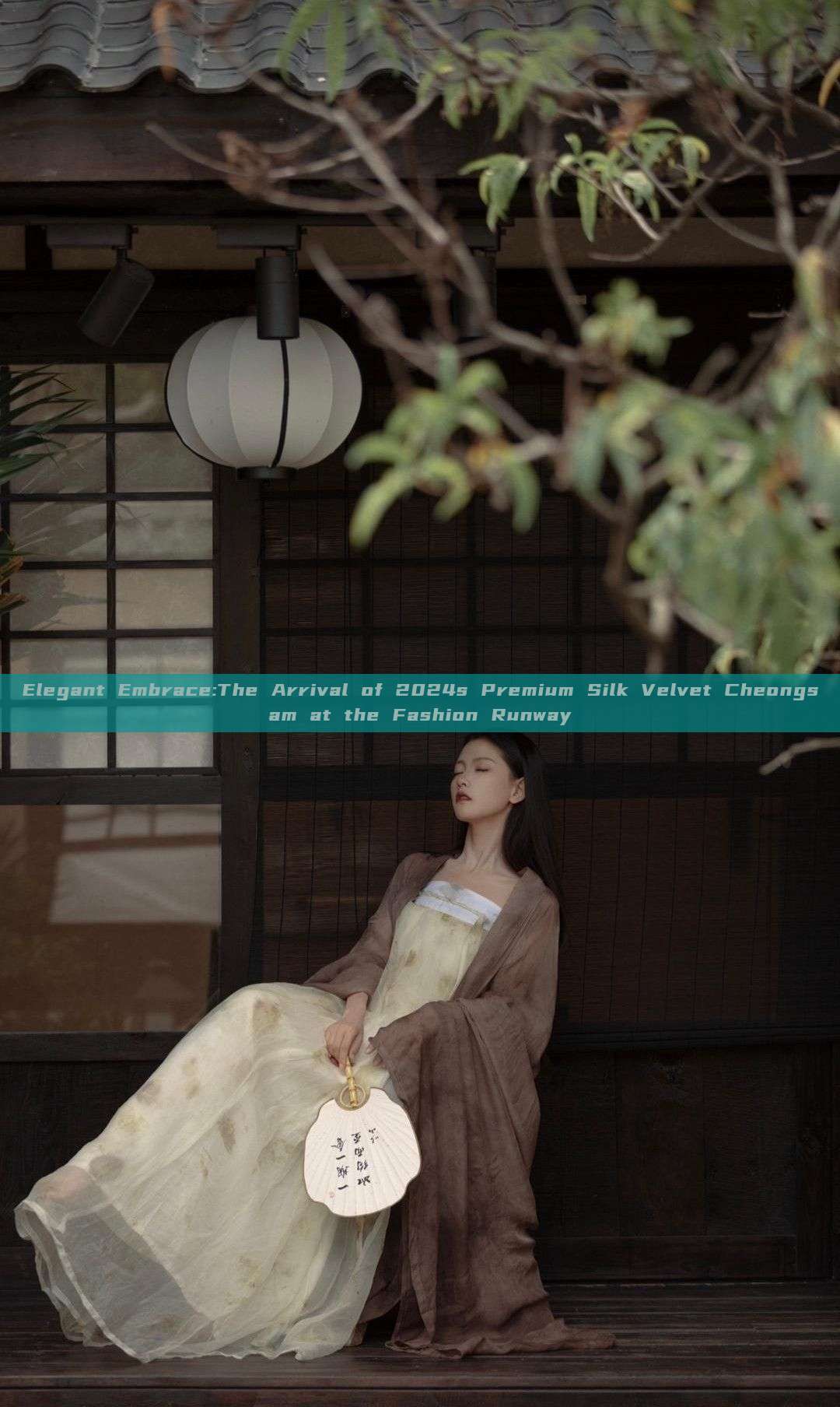 Elegant Embrace:The Arrival of 2024s Premium Silk Velvet Cheongsam at the Fashion Runway Elegant Embrace:The Arrival of 2024s Premium Silk Velvet Cheongsam at the Fashion Runway
