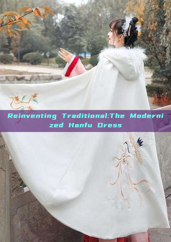 Reinventing Traditional:The Modernized Hanfu Dress Reinventing Traditional:The Modernized Hanfu Dress