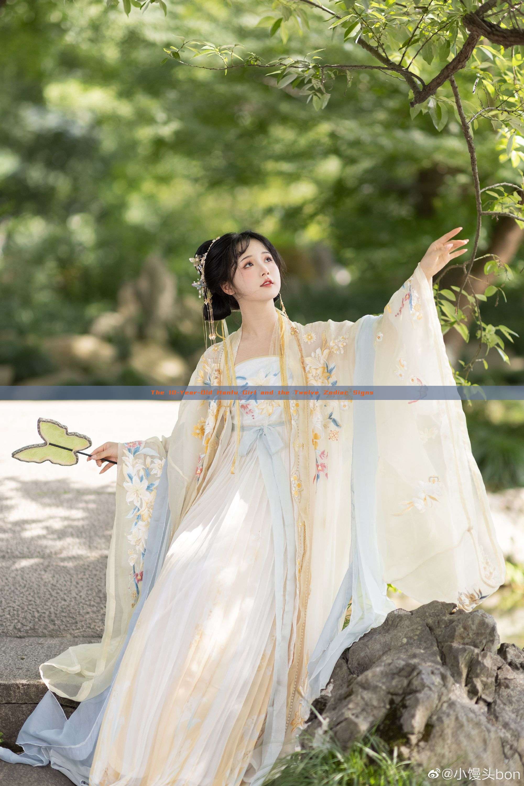 The 10-Year-Old Hanfu Girl and the Twelve Zodiac Signs The 10-Year-Old Hanfu Girl and the Twelve Zodiac Signs
