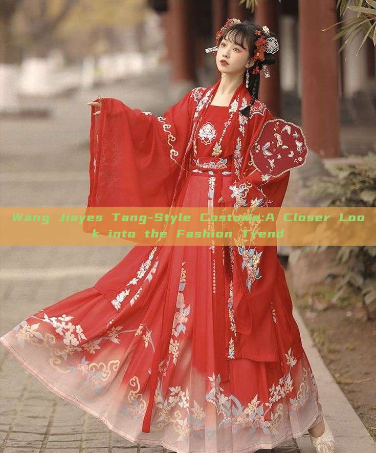 Wang Jiayes Tang-Style Costume:A Closer Look into the Fashion Trend Wang Jiayes Tang-Style Costume:A Closer Look into the Fashion Trend