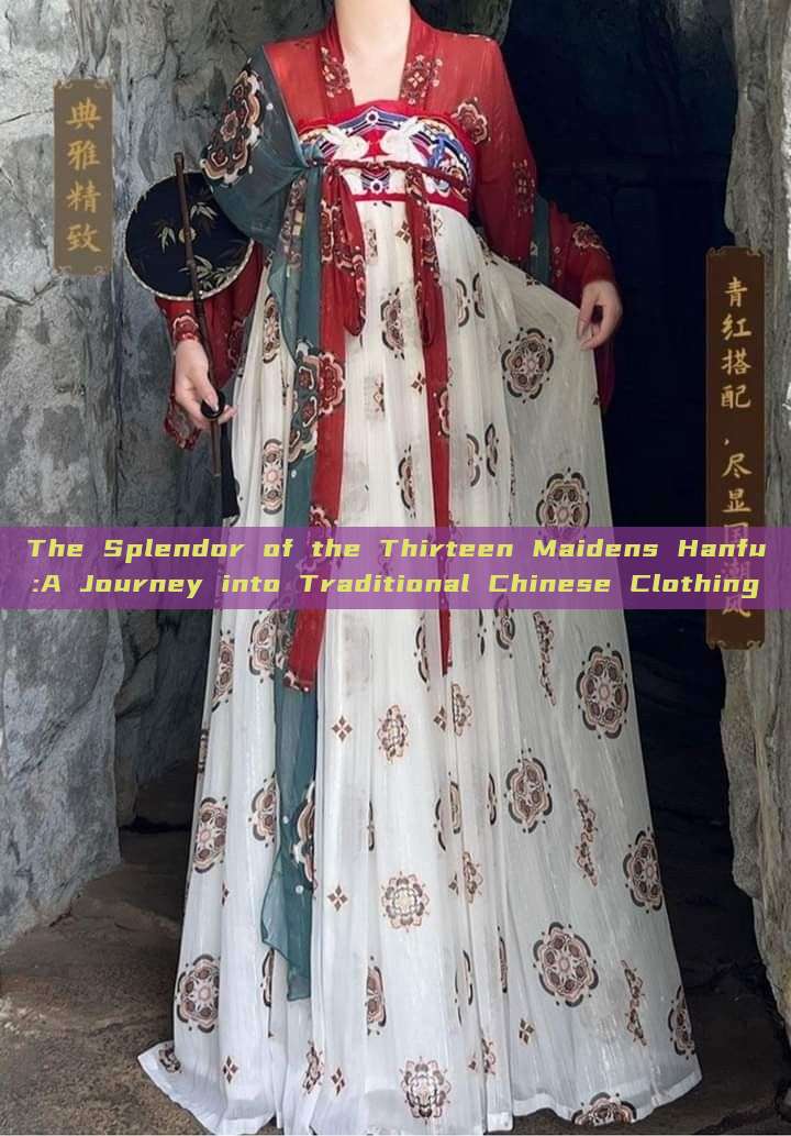 The Splendor of the Thirteen Maidens Hanfu:A Journey into Traditional Chinese Clothing The Splendor of the Thirteen Maidens Hanfu:A Journey into Traditional Chinese Clothing
