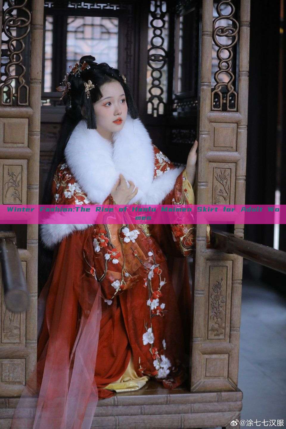Winter Fashion:The Rise of Hanfu Maimen Skirt for Adult Women Winter Fashion:The Rise of Hanfu Maimen Skirt for Adult Women