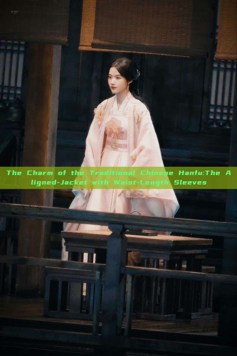 The Charm of the Traditional Chinese Hanfu:The Aligned-Jacket with Waist-Length Sleeves The Charm of the Traditional Chinese Hanfu:The Aligned-Jacket with Waist-Length Sleeves