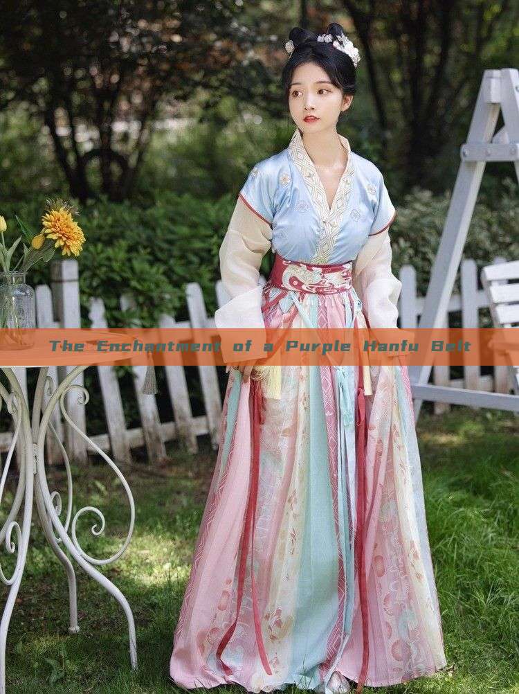 The Enchantment of a Purple Hanfu Belt The Enchantment of a Purple Hanfu Belt
