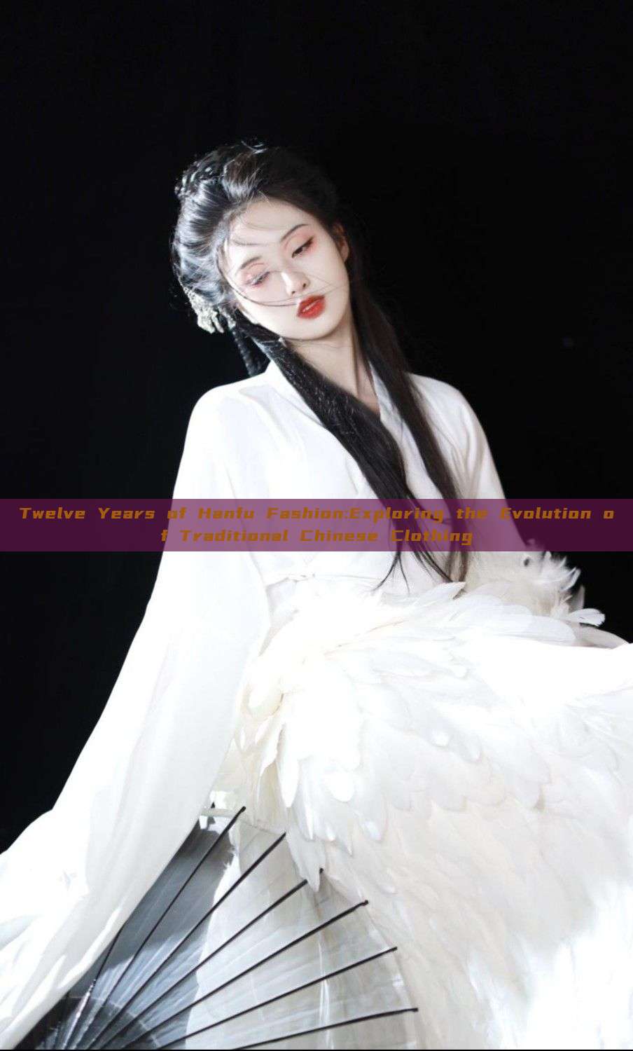 Twelve Years of Hanfu Fashion:Exploring the Evolution of Traditional Chinese Clothing Twelve Years of Hanfu Fashion:Exploring the Evolution of Traditional Chinese Clothing