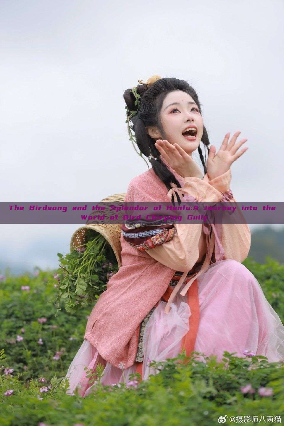The Birdsong and the Splendor of Hanfu:A Journey into the World of Bird Chirping Gully The Birdsong and the Splendor of Hanfu:A Journey into the World of Bird Chirping Gully