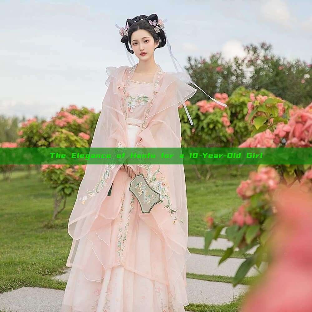 The Elegance of Hanfu for a 10-Year-Old Girl