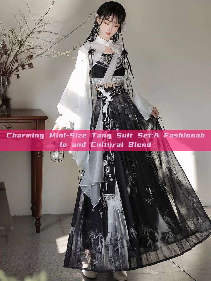 Charming Mini-Size Tang Suit Set:A Fashionable and Cultural Blend Charming Mini-Size Tang Suit Set:A Fashionable and Cultural Blend