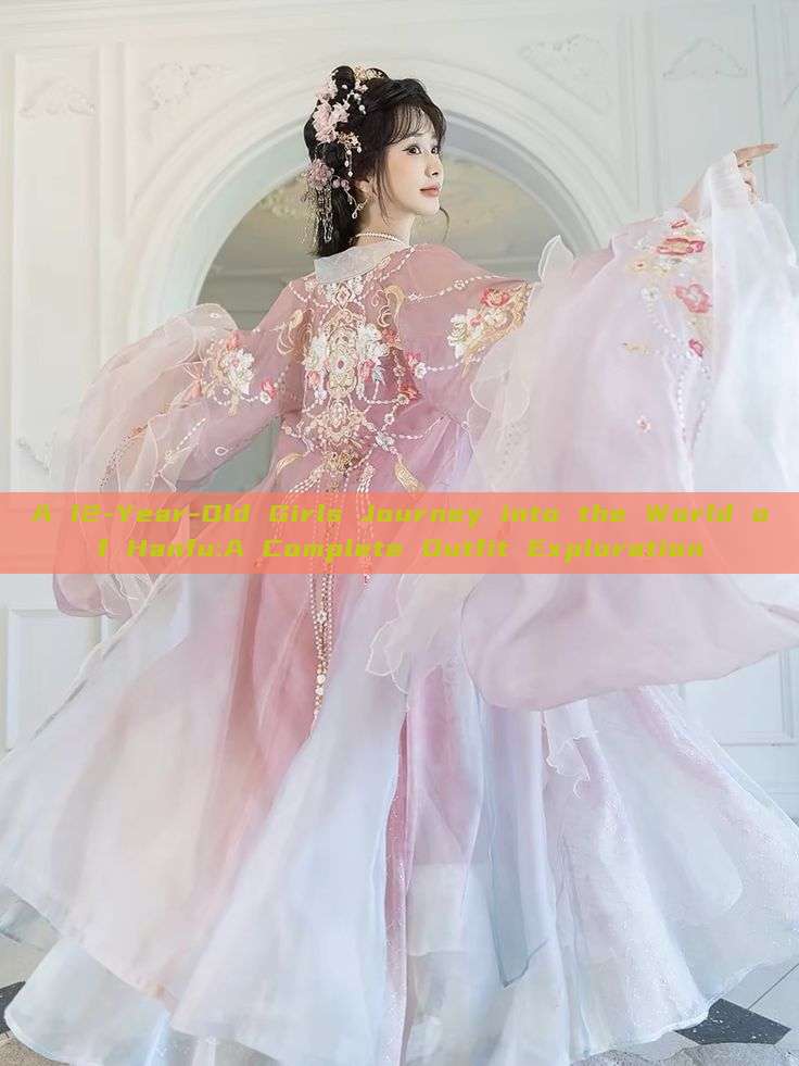 A 12-Year-Old Girls Journey into the World of Hanfu:A Complete Outfit Exploration A 12-Year-Old Girls Journey into the World of Hanfu:A Complete Outfit Exploration
