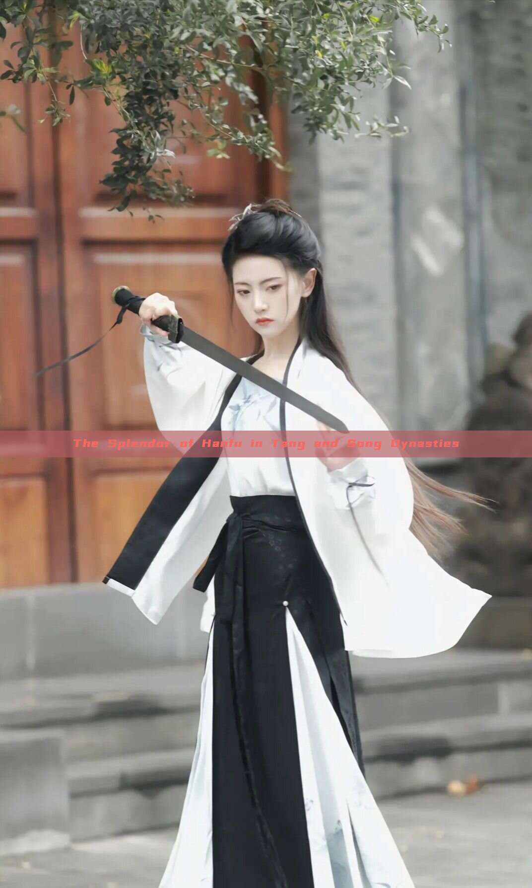 The Splendor of Hanfu in Tang and Song Dynasties