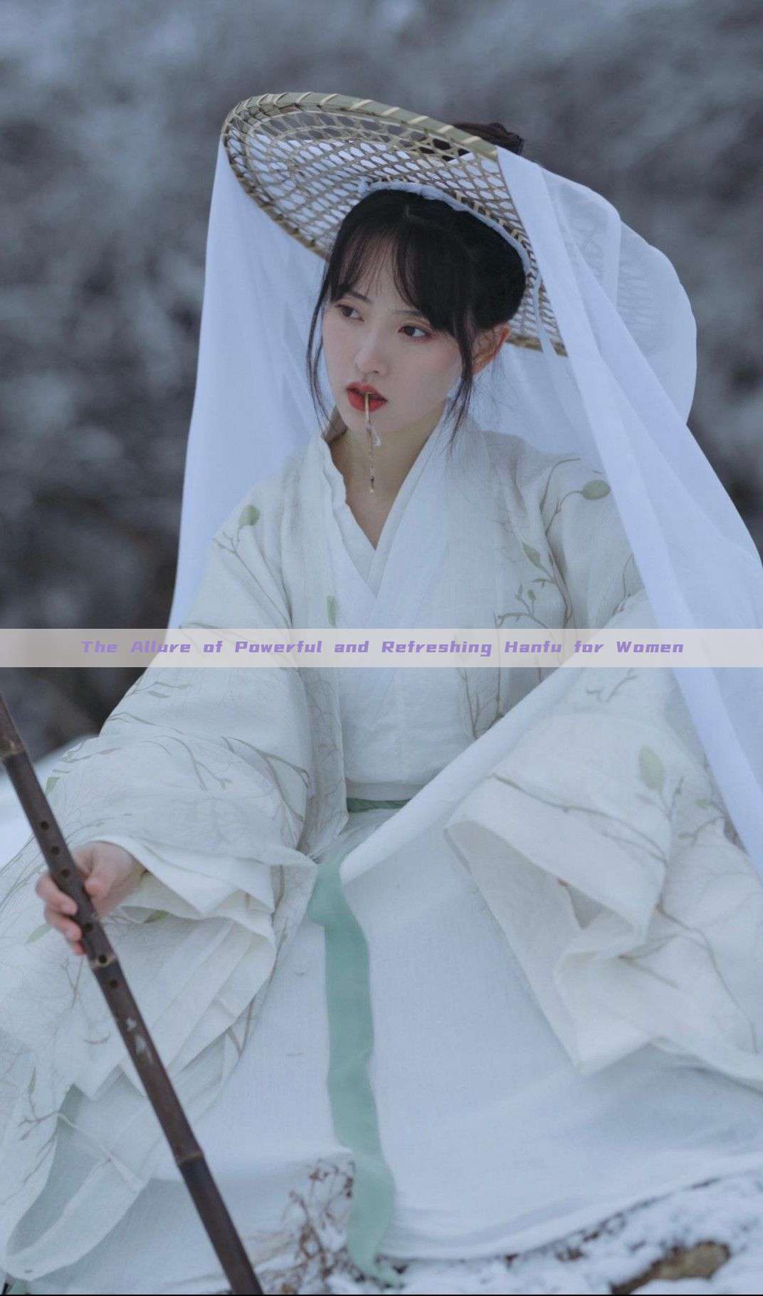 The Allure of Powerful and Refreshing Hanfu for Women