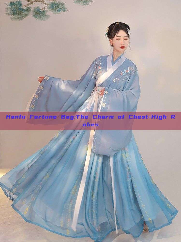 Hanfu Fortune Bag:The Charm of Chest-High Robes