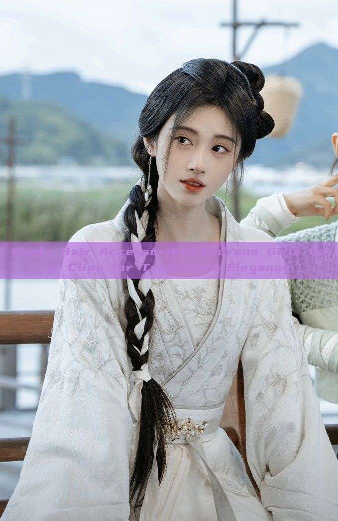 Hanfu Hair Accessories:Childrens Girls Hair Clips for Traditional Elegance