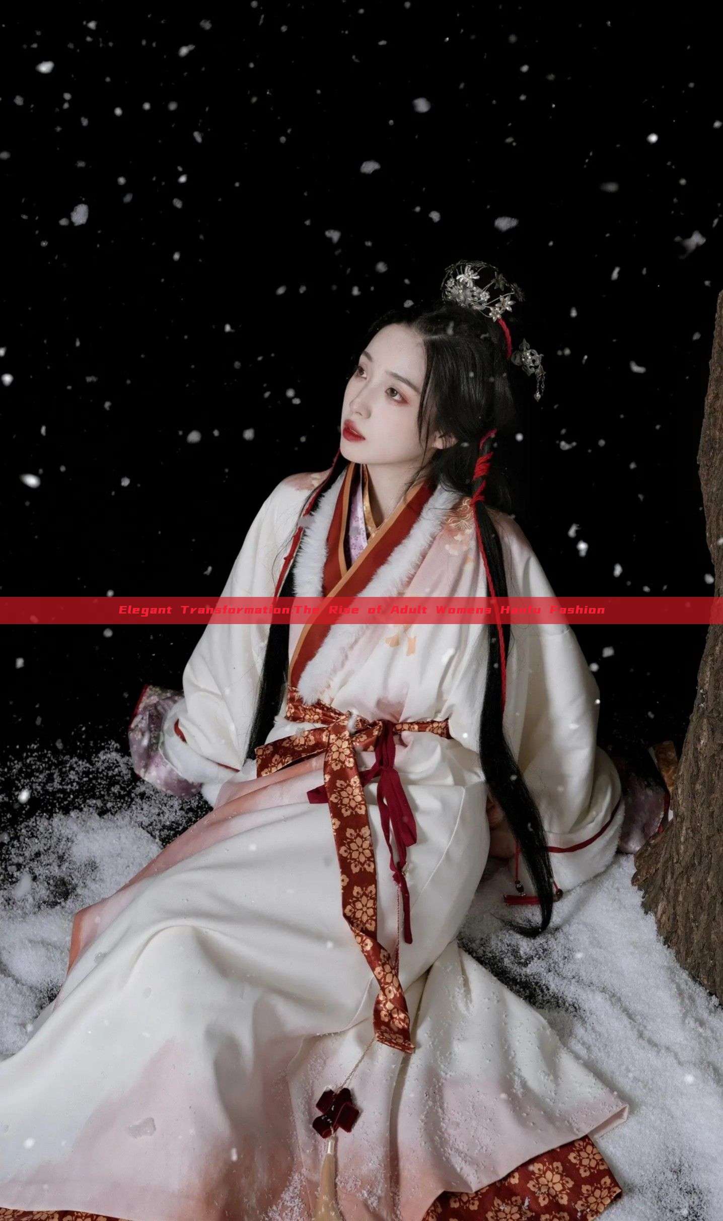 Elegant Transformation:The Rise of Adult Womens Hanfu Fashion