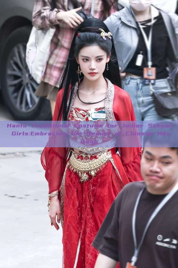 Hanfu Traditional Costume for Junior School Girls:Embracing the Beauty of Chinese Heritage