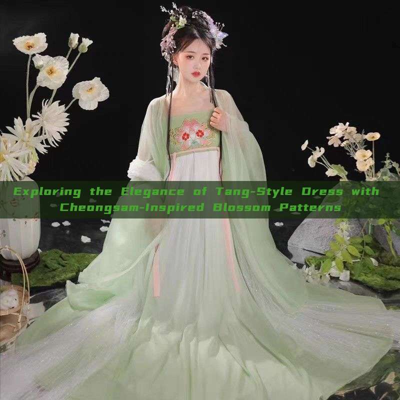 Exploring the Elegance of Tang-Style Dress with Cheongsam-Inspired Blossom Patterns