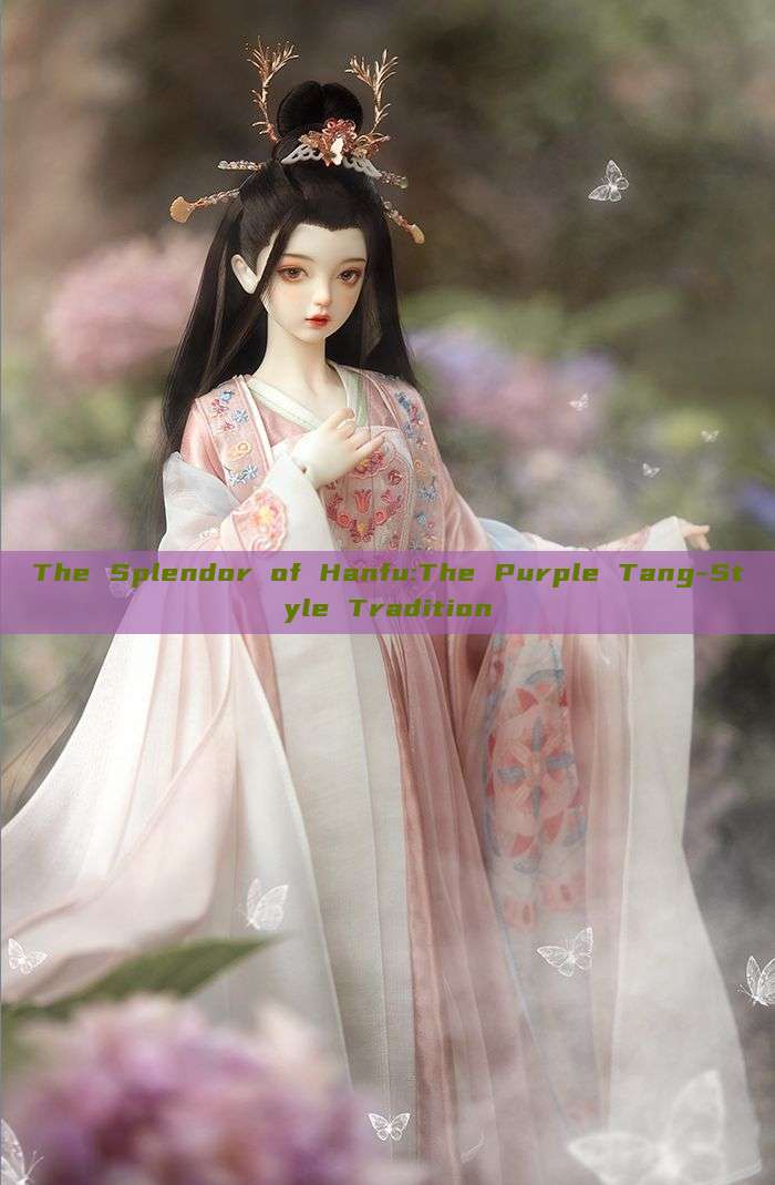 The Splendor of Hanfu:The Purple Tang-Style Tradition