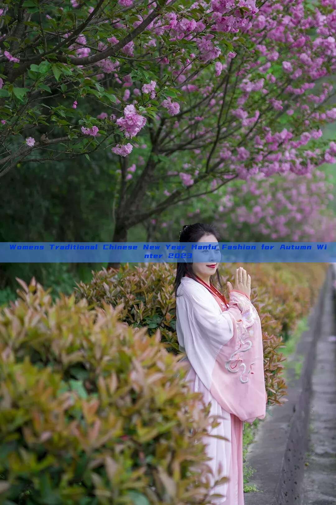 Womens Traditional Chinese New Year Hanfu Fashion for Autumn Winter 2023 Womens Traditional Chinese New Year Hanfu Fashion for Autumn Winter 2023