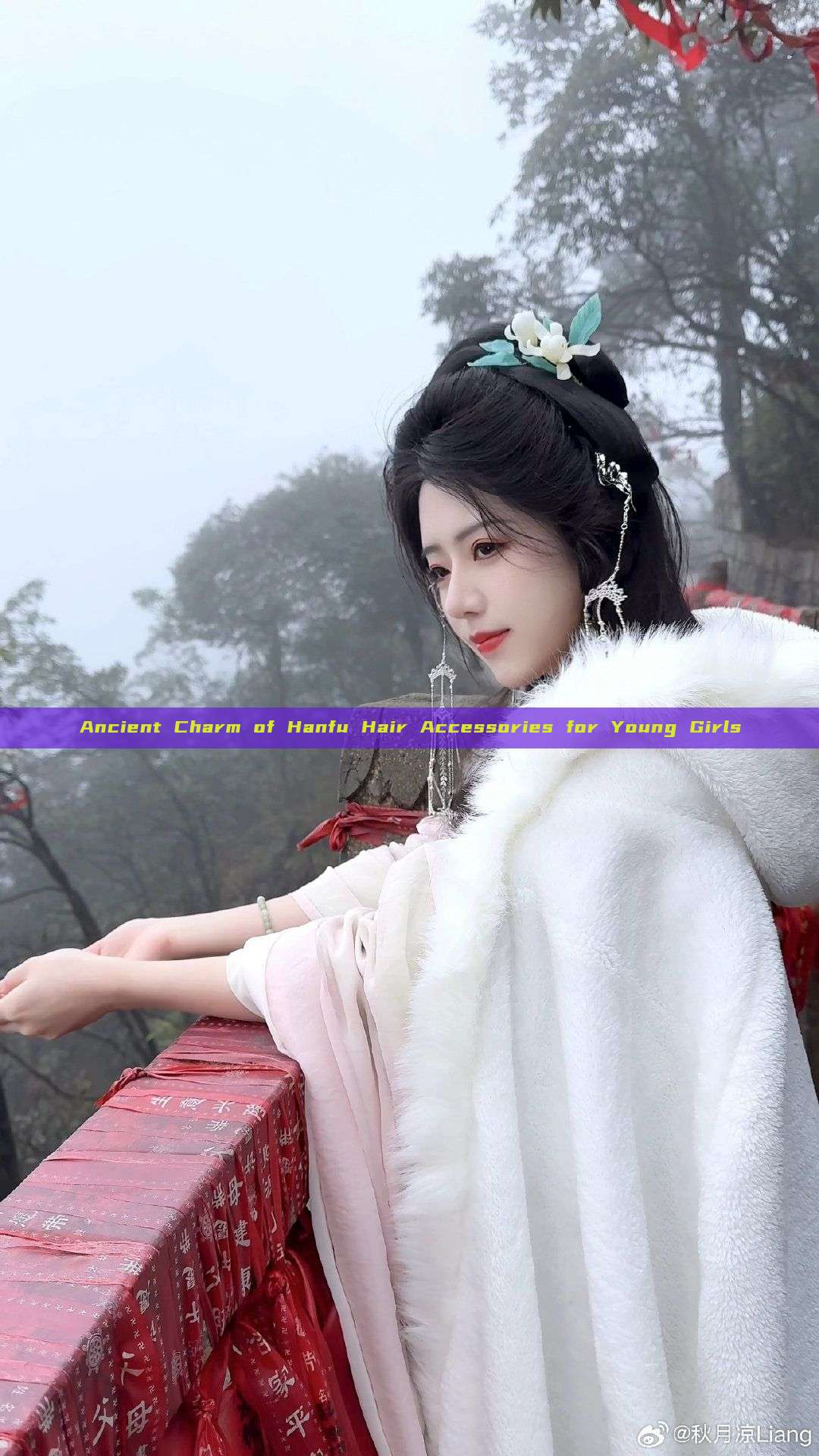 Ancient Charm of Hanfu Hair Accessories for Young Girls