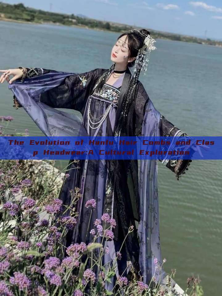 The Evolution of Hanfu Hair Combs and Clasp Headwear:A Cultural Exploration The Evolution of Hanfu Hair Combs and Clasp Headwear:A Cultural Exploration