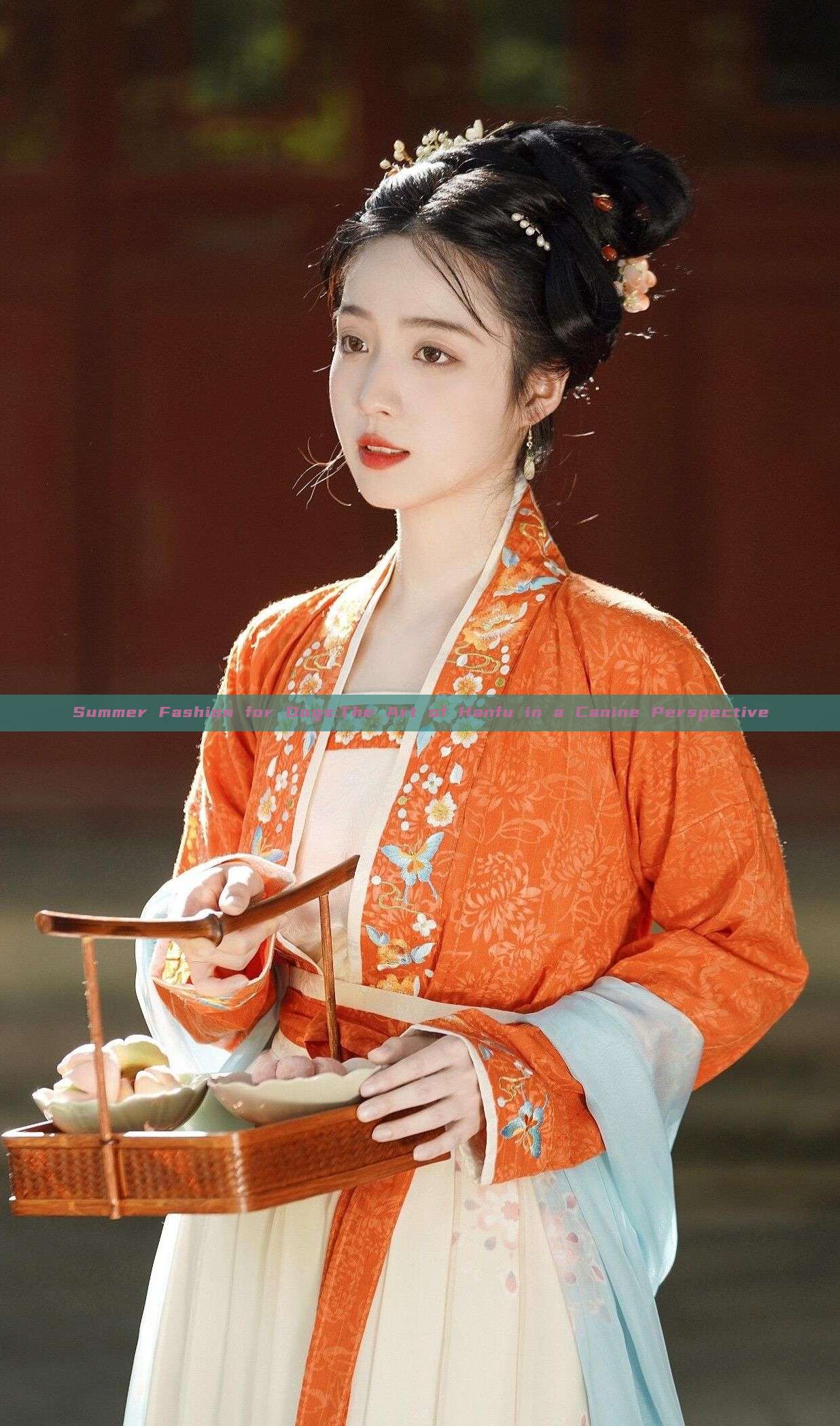 Summer Fashion for Dogs:The Art of Hanfu in a Canine Perspective