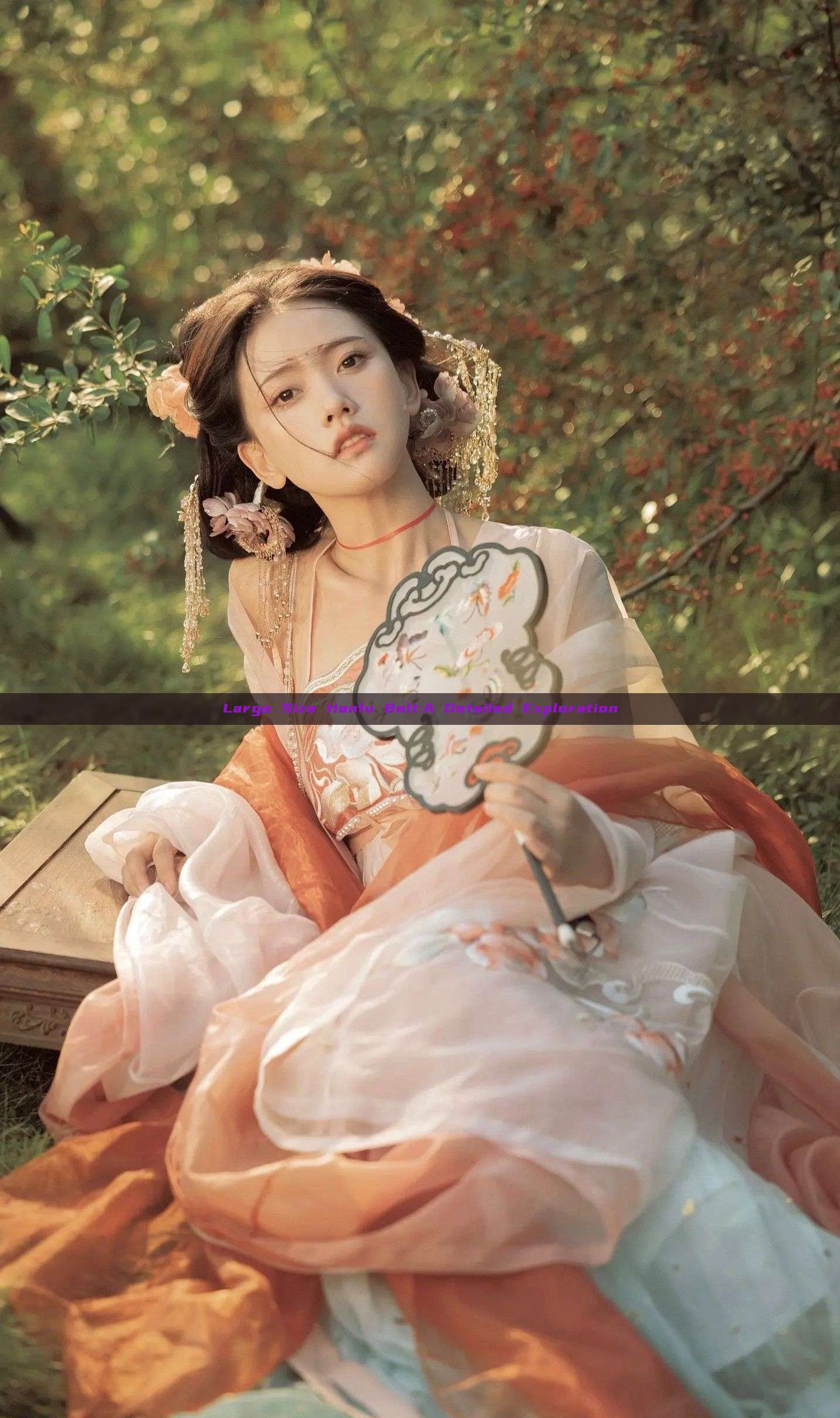 Large Size Hanfu Belt:A Detailed Exploration