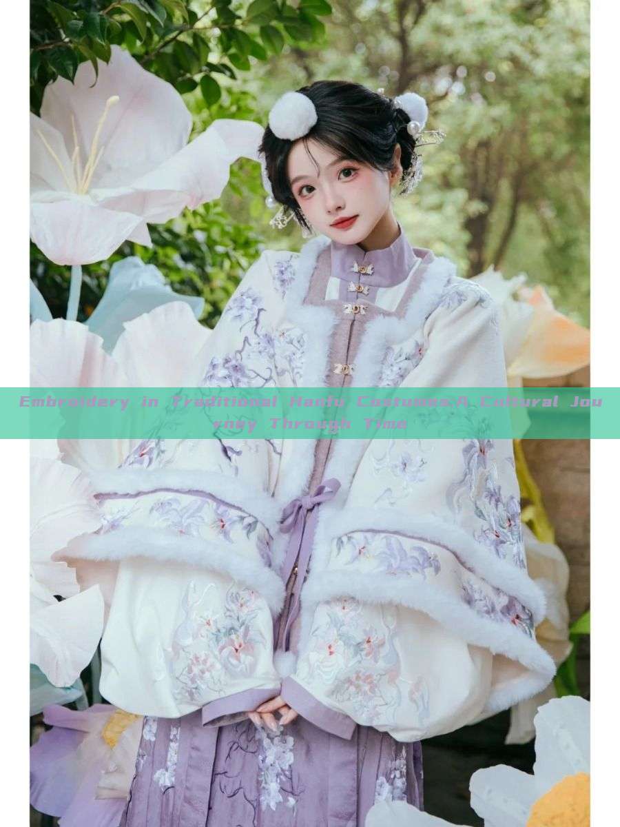 Embroidery in Traditional Hanfu Costumes:A Cultural Journey Through Time