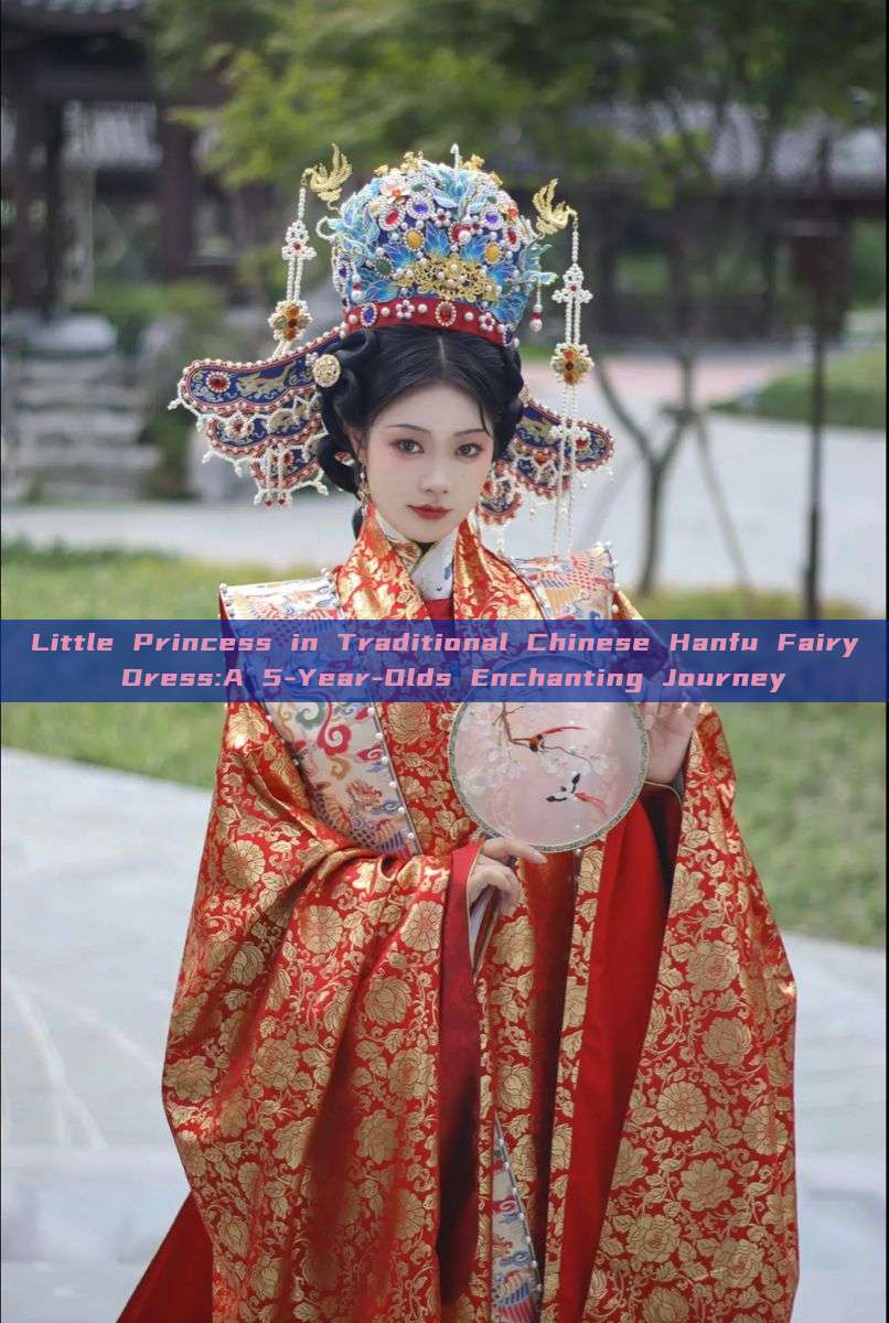 Little Princess in Traditional Chinese Hanfu Fairy Dress:A 5-Year-Olds Enchanting Journey