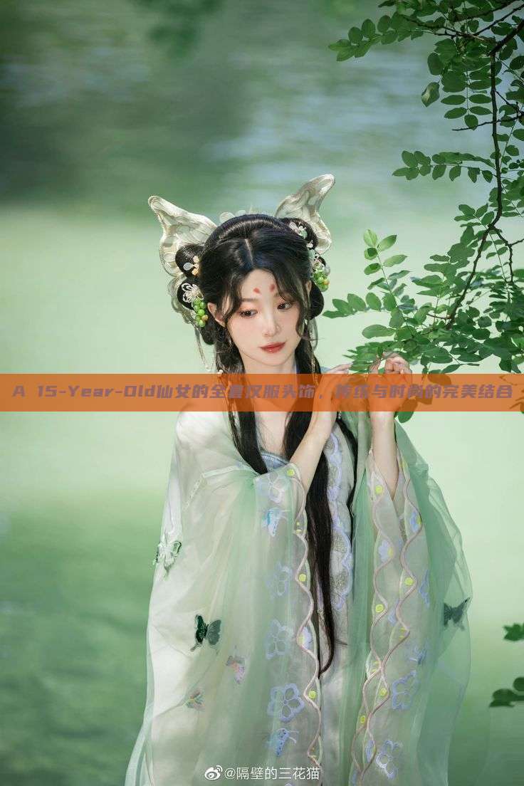 A 15-Year-Old仙女的全套汉服头饰,传统与时尚的完美结合 A 15-Year-Old仙女的全套汉服头饰,传统与时尚的完美结合