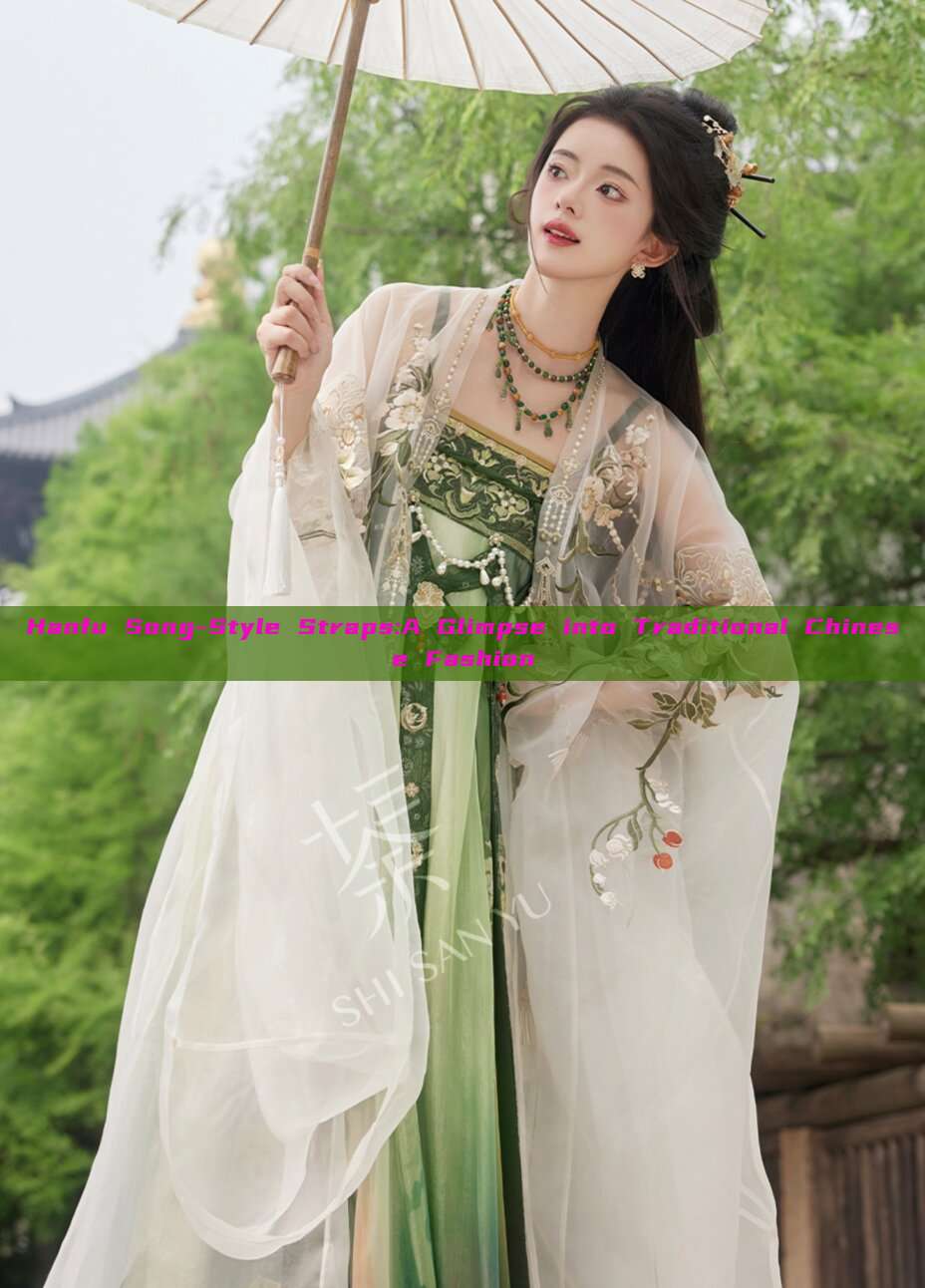 Hanfu Song-Style Straps:A Glimpse into Traditional Chinese Fashion
