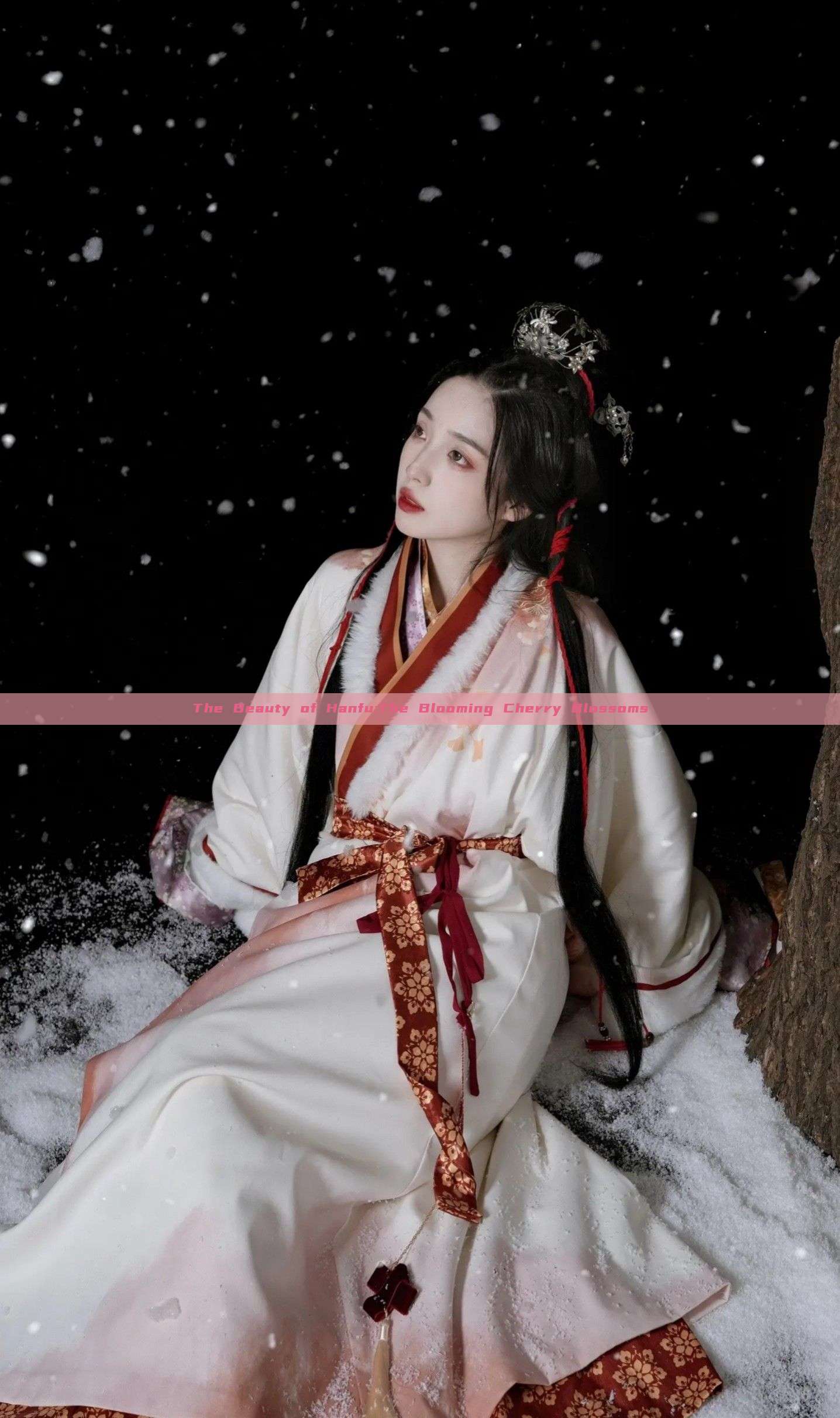 The Beauty of Hanfu:The Blooming Cherry Blossoms The Beauty of Hanfu:The Blooming Cherry Blossoms