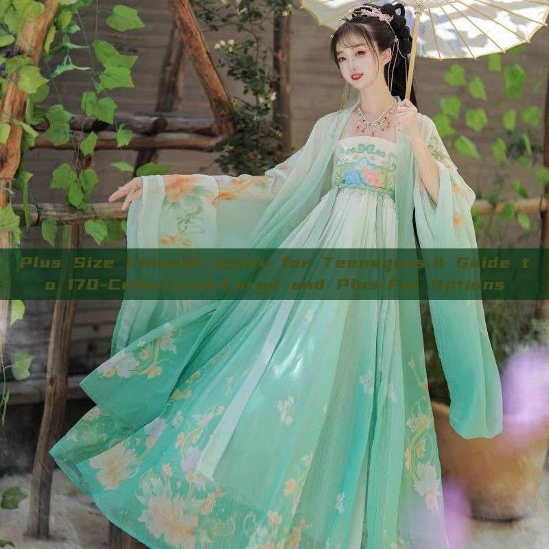 Plus Size Chinese Hanfu for Teenagers:A Guide to 170-Code,Extra-Large and Plus-Fat Options