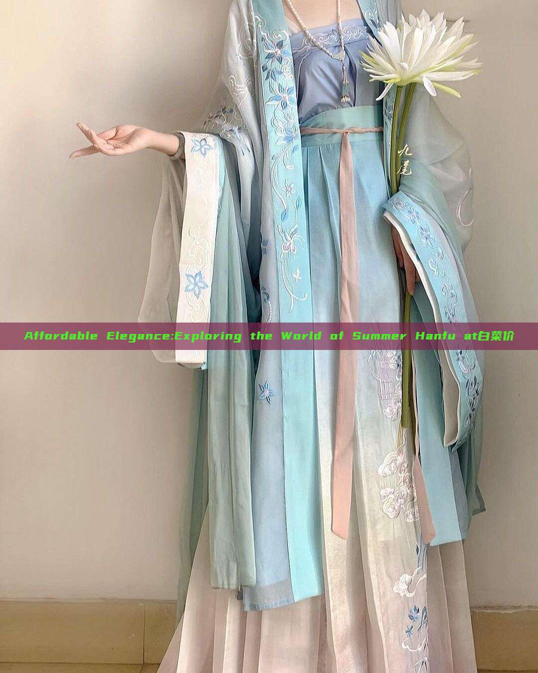 Affordable Elegance:Exploring the World of Summer Hanfu at白菜价