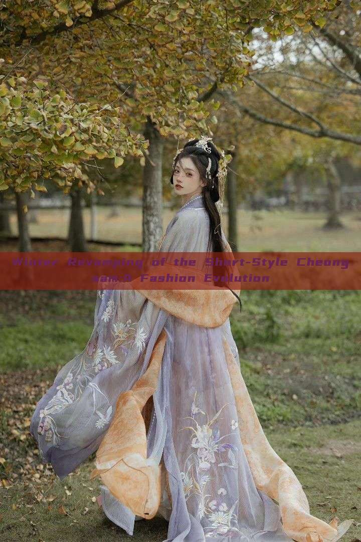 Winter Revamping of the Short-Style Cheongsam:A Fashion Evolution