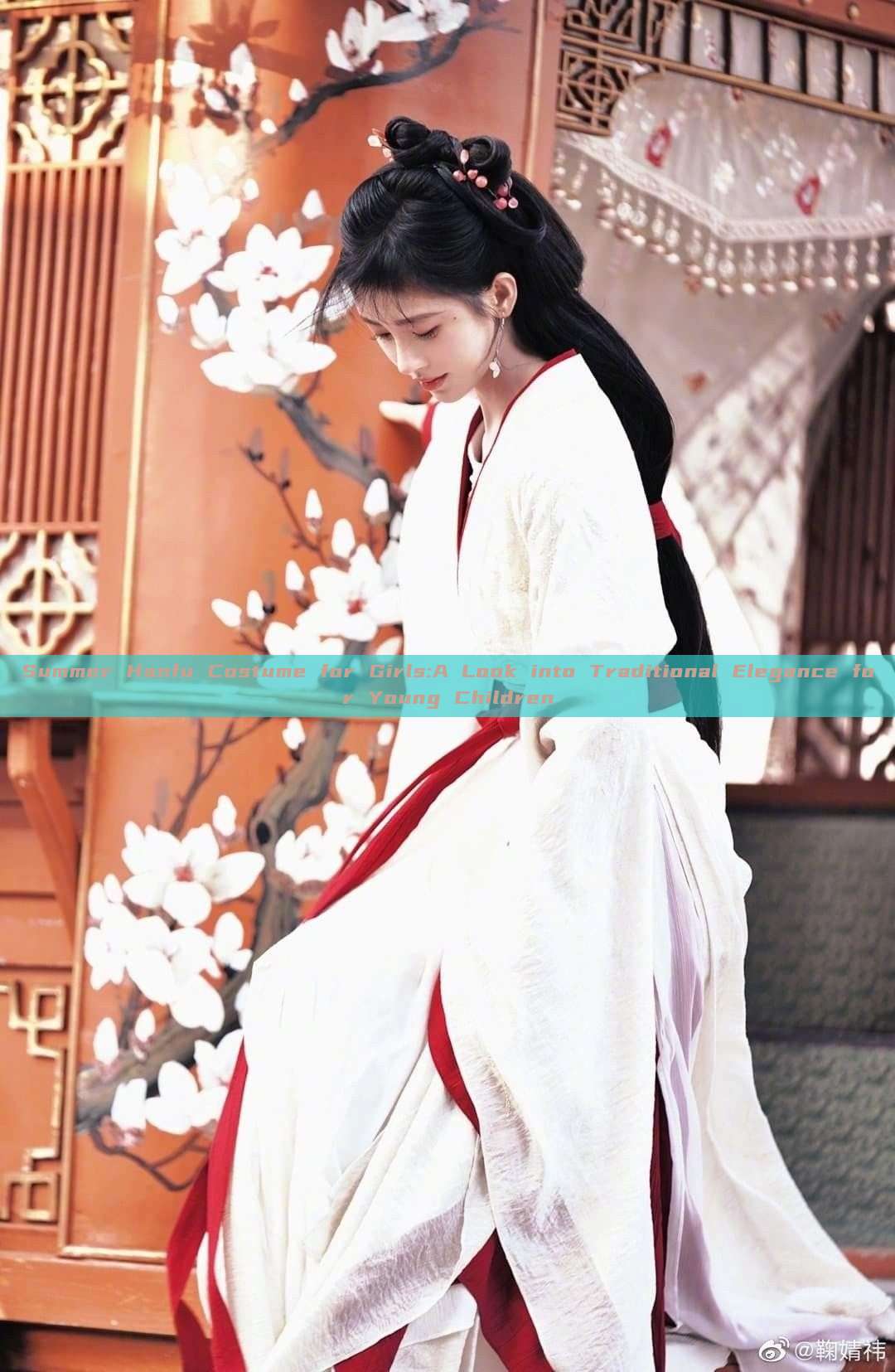Summer Hanfu Costume for Girls:A Look into Traditional Elegance for Young Children Summer Hanfu Costume for Girls:A Look into Traditional Elegance for Young Children
