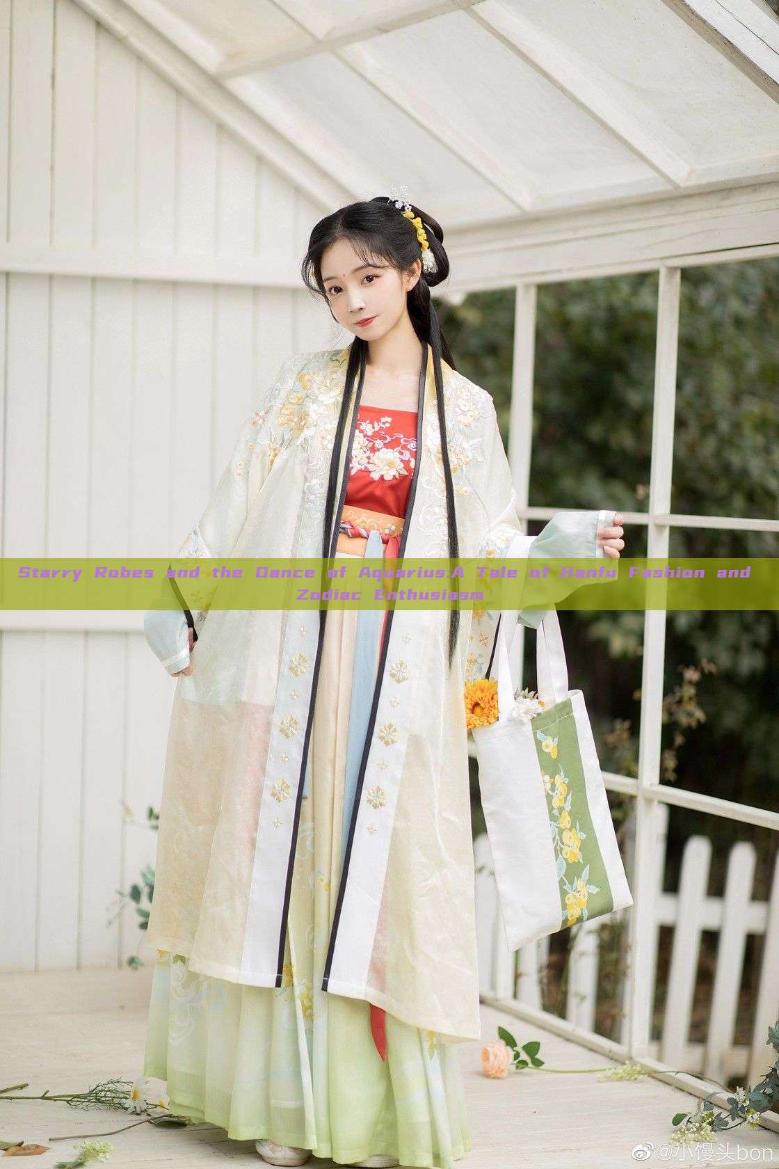 Starry Robes and the Dance of Aquarius:A Tale of Hanfu Fashion and Zodiac Enthusiasm Starry Robes and the Dance of Aquarius:A Tale of Hanfu Fashion and Zodiac Enthusiasm