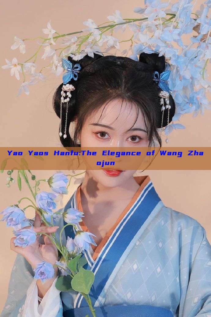 Yao Yaos Hanfu:The Elegance of Wang Zhaojun Yao Yaos Hanfu:The Elegance of Wang Zhaojun