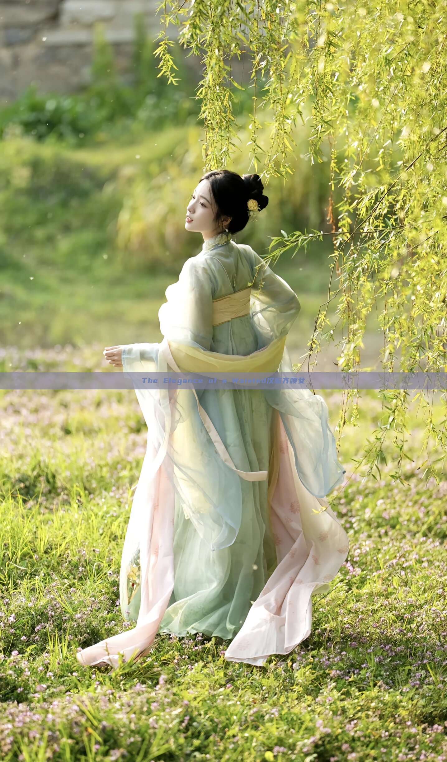 The Elegance of a Waisted汉服齐腰女 The Elegance of a Waisted汉服齐腰女