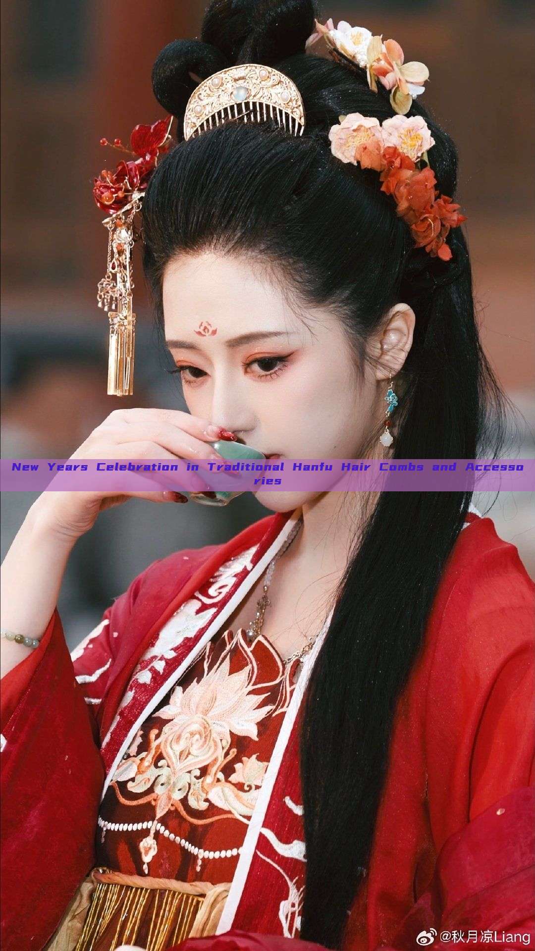 New Years Celebration in Traditional Hanfu Hair Combs and Accessories New Years Celebration in Traditional Hanfu Hair Combs and Accessories