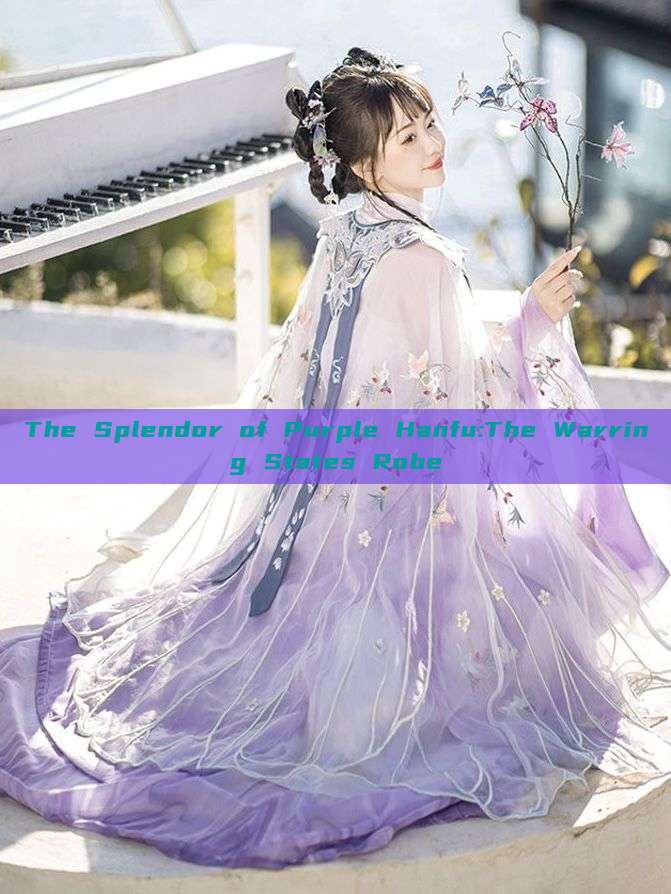 The Splendor of Purple Hanfu:The Warring States Robe